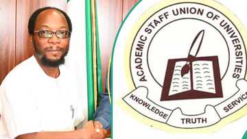 Lecturers pull out of ASUU strike, hail Tinubu’s government efforts