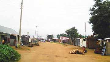 Armed bandits kill woman returning from stream in Ogun state