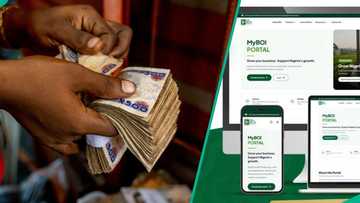 BOI launches digital portal to simplify access to loans for Nigerian businesses