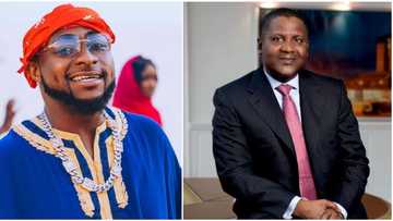 "Na masses dey pay the price": Davido's congratulatory message to Dangote over new refinery stirs reactions