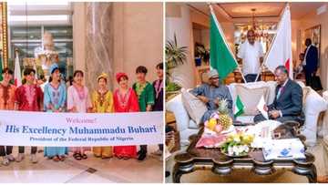 Buhari arrives Japan ahead of 7th Tokyo international conference (photos)