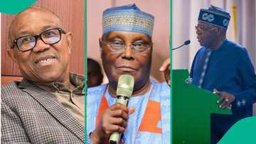 Breaking: Tinubu finally reacts to Atiku, Peter Obi's allegation