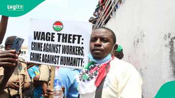 Minimum wage: List of states Labour chapters have pulled out of NLC strike