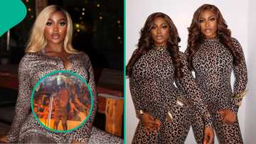 Drama as BBNaija Handi unleashes fury on show-goer over inappropriate touch during live performance