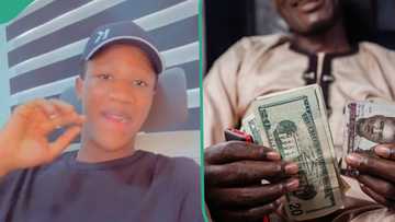 "This crash is just temporary": Forex trader predicts future naira/dollar rate with his chart