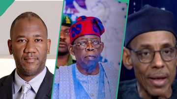 BREAKING: Tinubu appoints Peter Obi's running mate's brother Hakeem Baba-Ahmed as special adviser