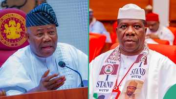 Did Bamidele exchange blows with Senate President Akpabio? Truth emerges