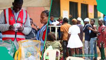 Electoral reform in Nigeria: 25 years, 176,000 polling units, still no trust