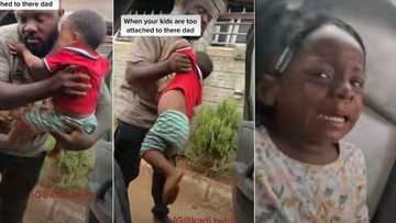 "My kids are too attached to their dad": Nigerian mum cries out, shares video of toddlers clinging to dad