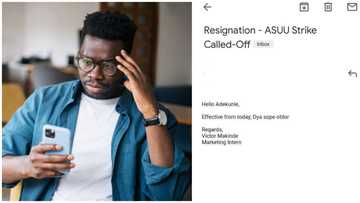 Unhappy Nigerian boss shares the bad resignation letter a student intern sent after ASUU called off strike