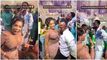 Bride Shocked as Hubby Invites Patoranking to Surprise Her on Their Wedding Day, Video Trends