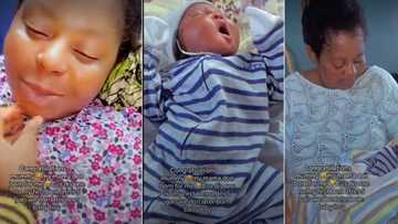 "This boy go too enjoy": Woman who gave birth to 5 girls finally delivers male child after many years, video trends