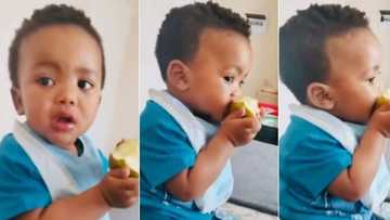 Video of adorable baby eating apple dad gave him with little teeth goes viral, his expression is cute