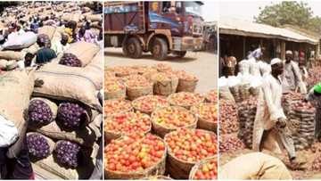 Food dealers make U-turn on ban of foodstuff to southern Nigeria