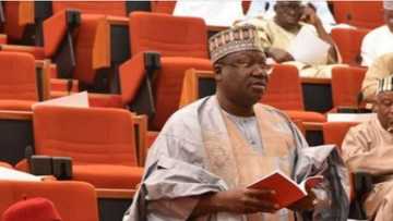 Al'ummar Yobe sun bayyana ra'ayoyin su kan nasarar Ahmed Lawan