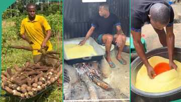Man travels from city to his village in Ughelli to make yellow garri by himself, returns with plenty