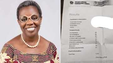"I adopted her years ago": Woman displays surprising WAEC result of girl she took care of, photo trends