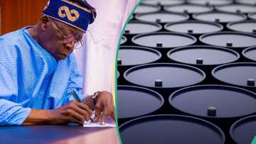 Oil production decline causes Nigeria to lose N249bn in July