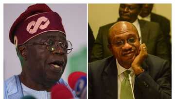 Why Tinubu cannot sack Godwin Emefiele, what the CBN Act says