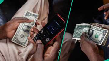 Dollar crashes as naira appreciates to five-month high below N1,500/$1