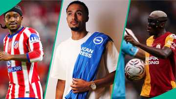 Osimhen, Lookman, other Super Eagles stars playing UEFA competitions this season