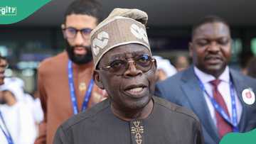 2027 election: ‘Why Tinubu is not afraid of Atiku, Obi’s coalition,’ presidential spokesman opens up
