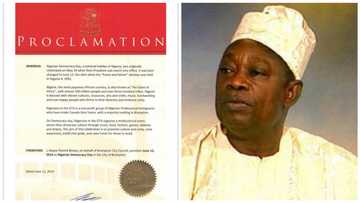 June 12: Democracy day or unity day? by Moses Okezie (Opinion)