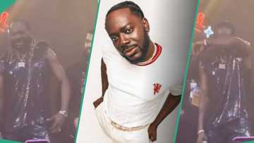 “Emotional man”: Adekunle Gold breaks down in tears as oyinbo fans make him cry on stage
