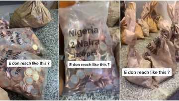 CBN: Large bags of Naira coins sighted in commercial bank, TikTok video goes viral and stirs reactions