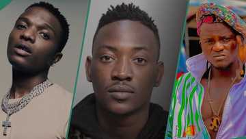 "I would have locked up Wizkid": Dammy Krane claims Portable is more relevant than Star Boy