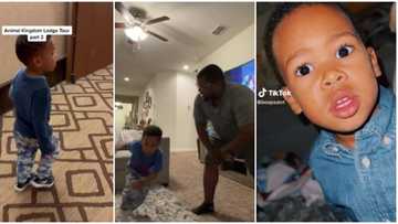"You Have to Say Sorry to Your Kids": Little Boy Says to His Father's Face, Stunning Video Trends Online