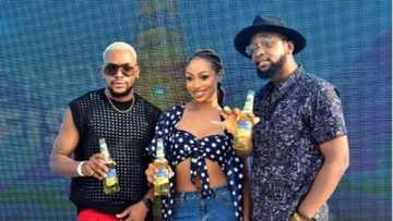 Flying Fish, our Response to Flavored Beer Lovers Yearning - Tolulope Adedeji, MD, International Breweries Plc