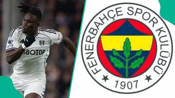 Fenerbahce presidential candidate travels to England to sign Super Eagles star