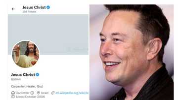 Elon Musk’s Twitter verifies account acting as Jesus Christ for 14 years