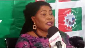 Election result: "We won’t rest until those disenfranchised get justice", Lagos LP chair vows