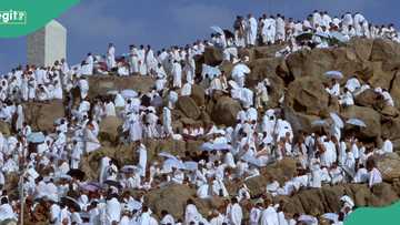 Hajj 2024: 600 Egyptian pilgrims confirmed dead in Saudi Arabia, cause of death surfaces