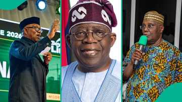 How Tinubu, Atiku, and Peter Obi say they made their wealth