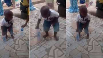 "Small pikin don dey use juju": Little boy kills bottle flip challenge in viral video, people hail him