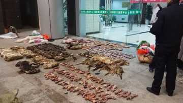 Coronavirus: An haramta ci da sayar da kowanne irin nau'i na namun daji a kasar China