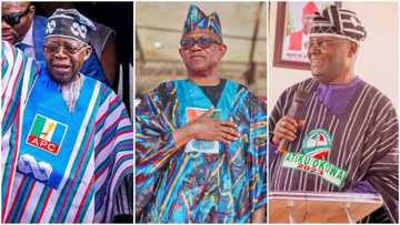 BREAKING: Tinubu strategizes against Peter Obi, Atiku, seeks important court order