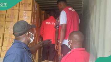 Photos: 31million pills, bottles of opioid worth N17.9bn intercepted by NDLEA at Nigerian ports