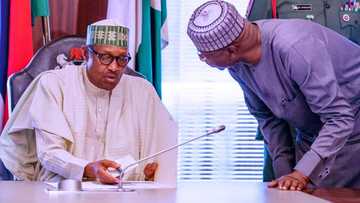 Filla-Filla: Jerin sunayen jakadu 42 da Buhari ya nada a yau