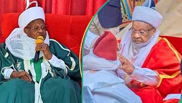 "Dogaran sarki sun yi ɓarna": Yadda aka yi rikici a wurin bikin auren ɗiyar Gwamna Dikko