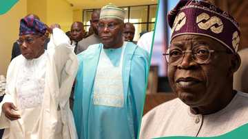 Just In: Obasanjo, Atiku, Obi, others meet amid plot to sack Tinubu