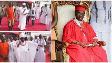 Killer dancer: Oba of Benin shows off sweet shaku shaku dance moves at event, leaves people jumping in video