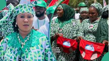 Lady who led Kano underwear rally bags fresh appointment