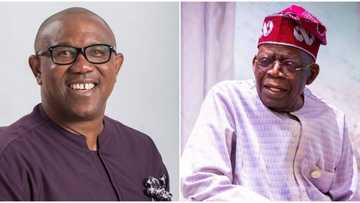 Tribunal: Prominent prophet releases prophecy on Peter Obi ‘winning’ in court