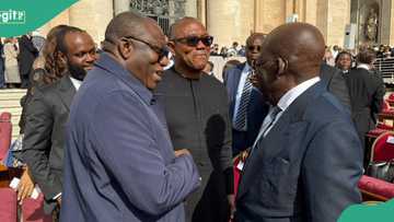 Details of what Tinubu told Peter Obi, Fayemi at Pope Leo’s inauguration emerge