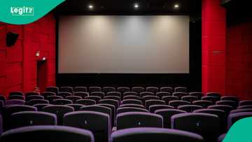 Why December? Reasons some filmmakers prefer the festive season for cinema releases