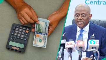 CBN explains naira exchange rate performance against US dollar